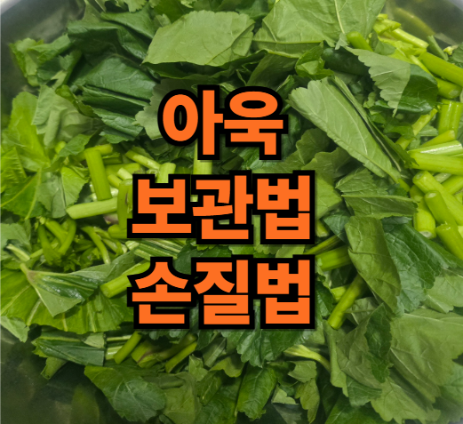 먹기 좋은 크기의 손질된 아욱 사진을 배경으로 가운데 아욱 보관법 손질법이라는 텍스트다 있는 이미지