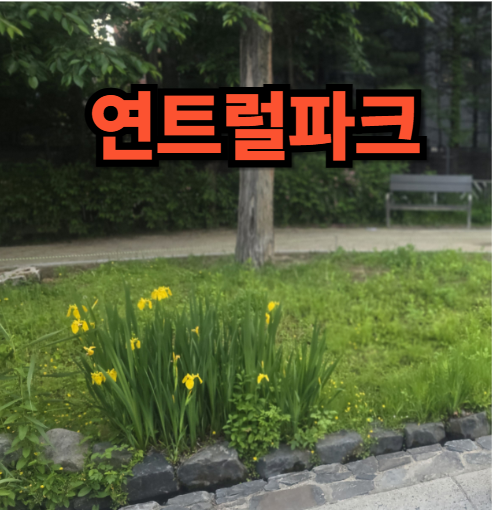 연트럴파크의 물길옆에 핀 붓꽃 사진을 배경으로붉은 색 연트럴파크라고 텍스트가 있는 이미지
